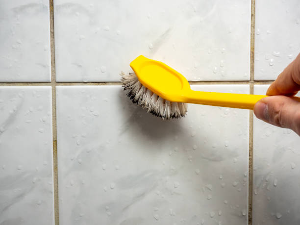 Best Professional Mold Removal  in Gadsden, AL