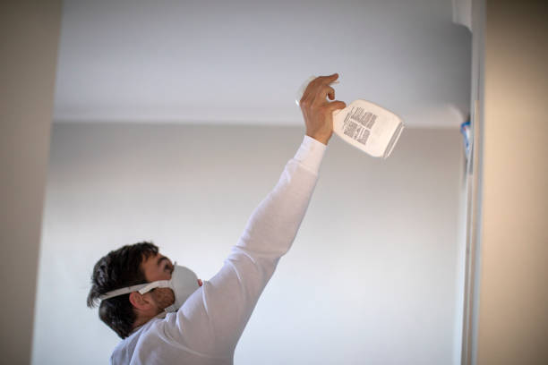 Best Mold Remediation  in Gadsden, AL
