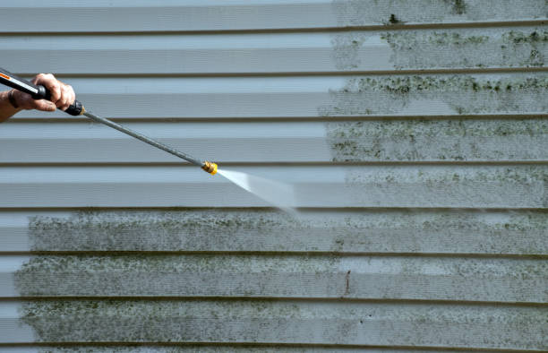 Best Mold Damage Repair  in Gadsden, AL